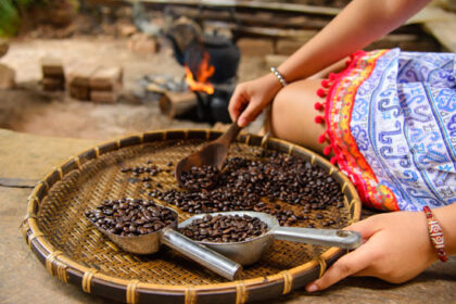 ciri biji kopi sudah kering