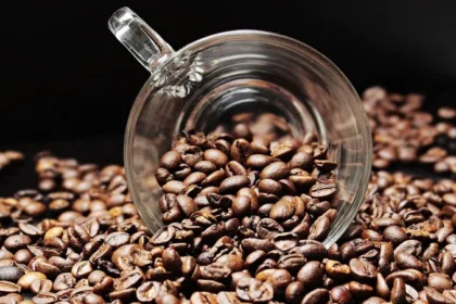 proses pengupasan kopi kering