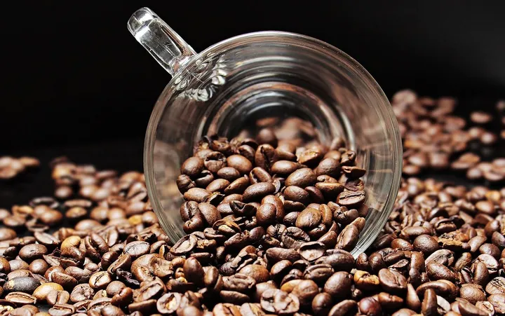 proses pengupasan kopi kering